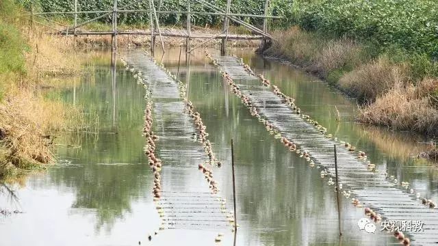首页| CA88集团中国唯一官方网站