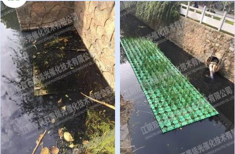 约6.5亿！湖北新城镇建设项目（二期）柴泊湖综合整治及刘集地域水环境治理（一期）EPC（一标段）招标