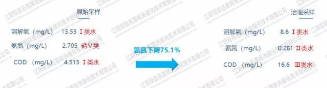 首页| CA88集团中国唯一官方网站
