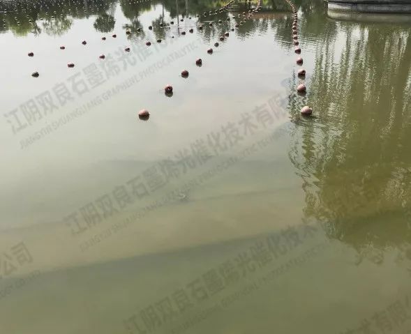 中国能建葛洲坝集团首个PPP模式运作的水环境治理项目竣工