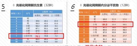 首页| CA88集团中国唯一官方网站