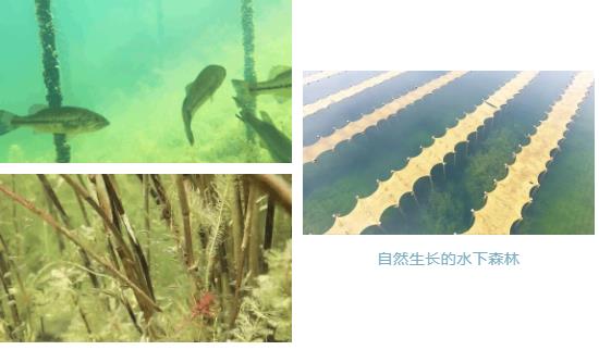 c900121bda18f51de71125936e8f6a48 首页| CA88集团中国唯一官方网站
