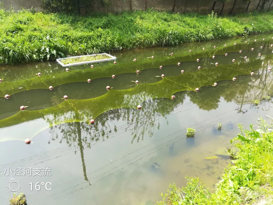 0dc3191a44f7a1fc1da56b729574c3ac 首页| CA88集团中国唯一官方网站