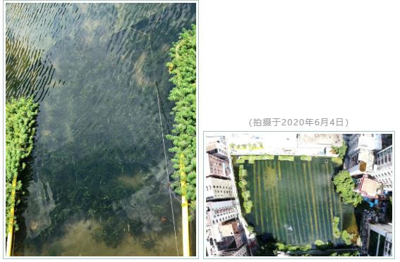 7c1d55fca99d93b818a0684a2ce658c0 首页| CA88集团中国唯一官方网站