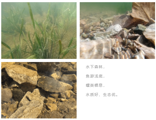 b48f62018b36fc5a1e4d2265370de0e1 首页| CA88集团中国唯一官方网站