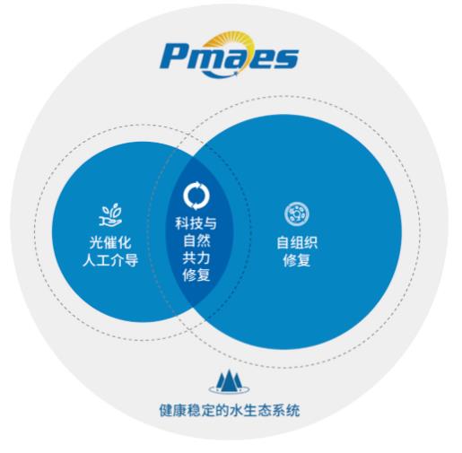 首页| CA88集团中国唯一官方网站