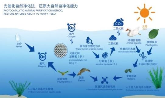 长江生态环境；そǜ础耙皇幸徊摺 驻点跟踪钻研