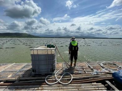 ？诮鹋：南湖水生态建复工程：沉构水生态系统 还一湖净水净流