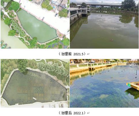 汇报湖泊生态建复治理情况