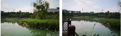 2f4d0a6eda02db1f1d5908b3428193a0 首页| CA88集团中国唯一官方网站