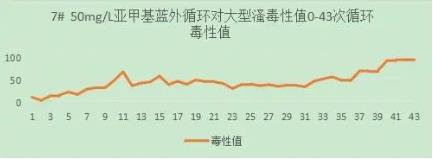 首页| CA88集团中国唯一官方网站