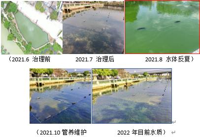 河路生态化建设是未来河路治理的方向
