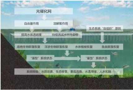 持续推动水生态；ず徒ǜ