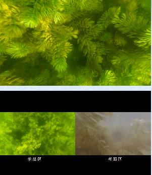 e63cfa1a1e00d289fb88fb15c410ad4a 首页| CA88集团中国唯一官方网站