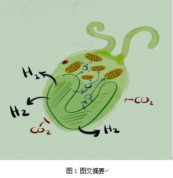  CA88环境最新科研动态(2022-09)