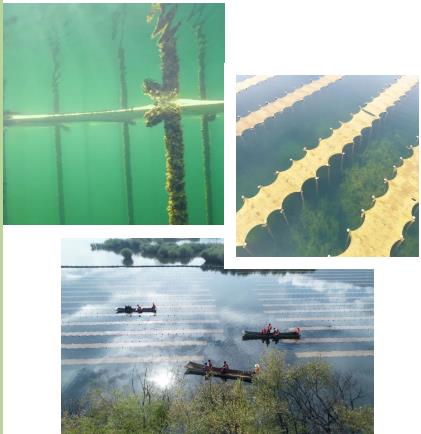 e07817165ae38917e1e48a540b9bc4ea 首页| CA88集团中国唯一官方网站