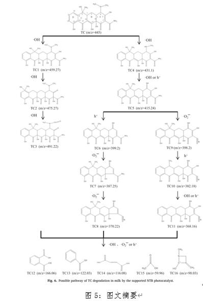首页| CA88集团中国唯一官方网站