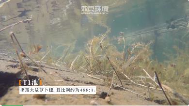 新闻转载｜河路治理|五管齐下，提升塘西河水环境质量