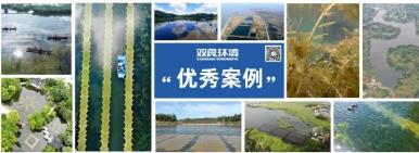 首页| CA88集团中国唯一官方网站