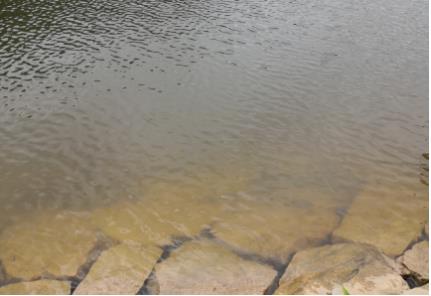 新闻转载｜水环境治理“突击月”专项行动 千垛镇：网格化常态化推动河路保洁