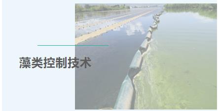20ade54812eab5dd67b26e79a99faa8d 首页| CA88集团中国唯一官方网站