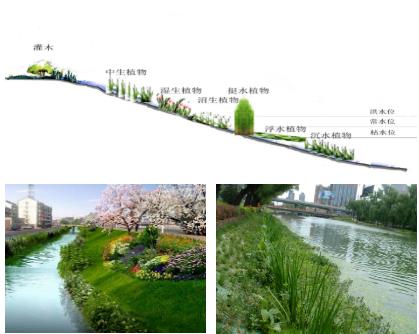 大面积黑臭水体（水塘、水渠、水库等）出格是养殖废水，若何在短功夫急剧进行治理？达标农灌水或排放尺度？