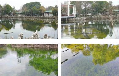 地下水传染防治是内江市水环境治理的一项沉要内容
