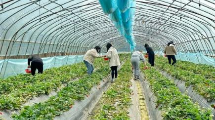 首页| CA88集团中国唯一官方网站