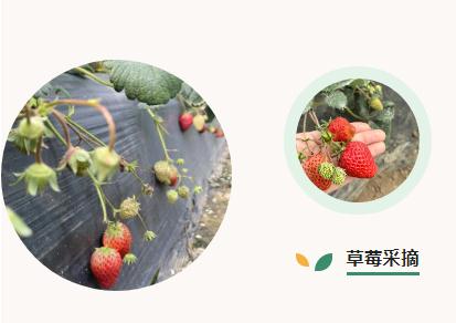 首页| CA88集团中国唯一官方网站