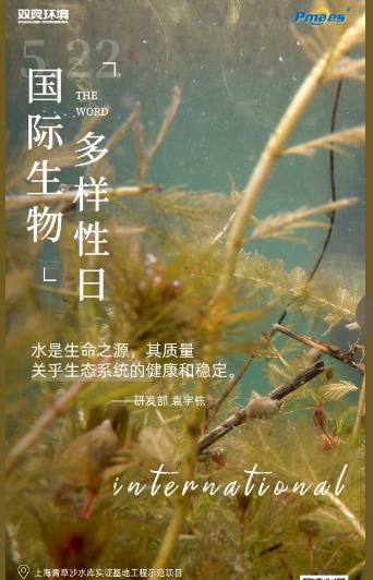 5.22生物多样性日｜共护碧水清波，共建和谐生态！