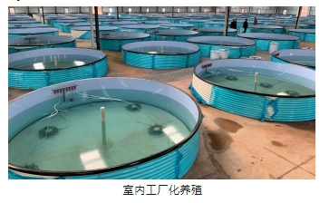 14fd840073948c066ca69f8fc8c3ca3a 首页| CA88集团中国唯一官方网站